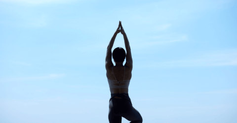 yoga vinyasa y microbiota